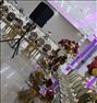 تشریفات مجالس1wedding