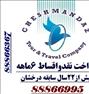 تور تفریحی  ، تورترکیبی مسکو+سن پترزبورگ