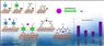 طراحی انواع خلاصه چکیده Graphical abstract و شماتیک های علمی برای مقالات علمی و 