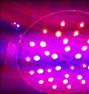 لوستر ، چراغ رشد گیاه full spectrum