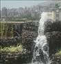 باغبانی ، بام سبز و طراحی محوطه