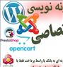 افزونه نویسی اختصاصی