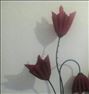 لوستر ، اباژور طرح لاله