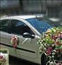باغبانی ، طراحی واجرای فضای سبز