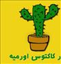 باغبانی ، کانال تلگرام آموزش کاکتوس