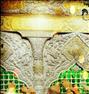 باربری ، تور هوایی کربلا معلی(نقد و اقساط)