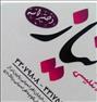 آموزش ، استخدام استاد