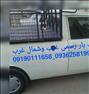 باربری ، وانت بار رسمی غرب وشمال غرب
