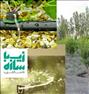 باغبانی  ، آبیـــــــاری قطــــره ای و بارانـــــی مهـــپاش