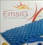 تشک مواج EmsiG