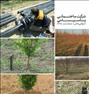 باغبانی ، قطره ای#بارانی#مهپاش#فضای سبز
