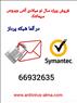 آلما شبکه فروش ویژه سال نو میلادی آنتی ویروس سیمانتک - 02166932635