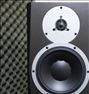 Dynaudio BM12A