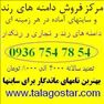 طلاگستر مرکز فروش دامنه های رند و سایتهای آماده