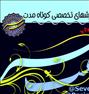 آموزش ، دوره های تخصصی کارگردانی