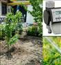 باغبانی ، آبیاری قطره ای و بارانی فضای سبز محوطه ...آبیاری قطره ای و بارانی فضا