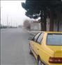 فروش خودرو ، تاکسی پژو برون شهری