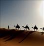 تور تفریحی ، تور کویر مصر