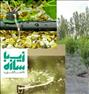 باغبانی ، آبیاری#قطره ای#و بارانی هوشمند