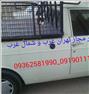 باربری ، وانت بار/کاشانی/مرزداران/فردوس/جنت اباد/اکباتان
