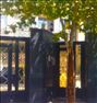 اجاره خانه ، ٥٠ متر خیابان کرمان
