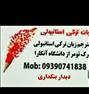 آموزش ، مدرس و مترجم زبان ترکی استانبولی